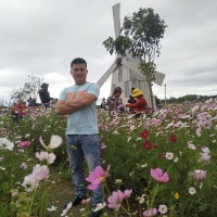 DIEN VO