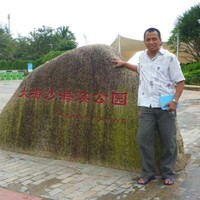 deddy wijaya