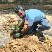 Ashok Kumar. S