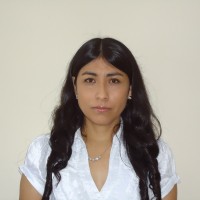 Jenny Tamara Montecinos Vidal
