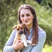 Amy Wharrier