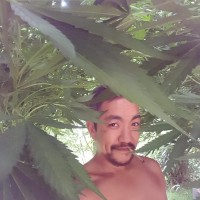 Donovan Santiago