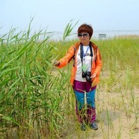韩亚丽