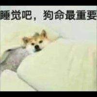 张文梦