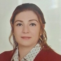 Heba Abdelaziz