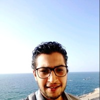 Ahmed Mohamed Elgamal