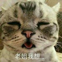 程茂杰
