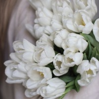 Alaa Barznji
