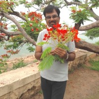 Rakesh Kesharwani