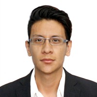 Carlos Andrés Flores Flores