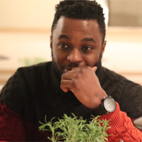 Adebayo (Bayo) Adegunloye