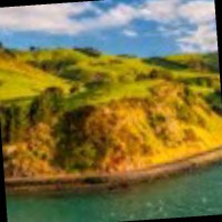 modo modo