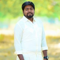 Gulls Vasanth