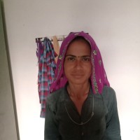 Seema Meena