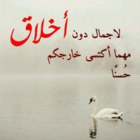 hazem abdo