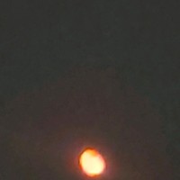 I Am Sg Sun