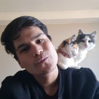 Rodrigo Toloza Monsalvez