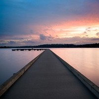 Shari Lake