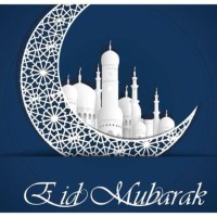 الكفاءة العالية - محمد الصادق