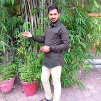 Dilip Yadav