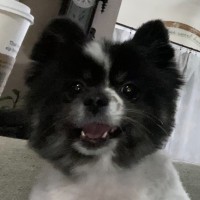 Bella Maria Borkins-O'Brien