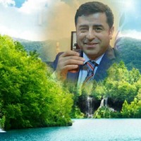 Ayaz Dicle