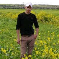 نور الدين السلوم