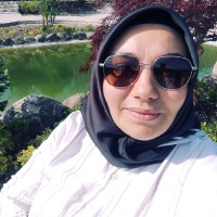 Sibel Taşdemir Gümüş