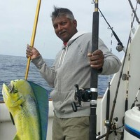 Daryll Gooding Affordable Maintenance