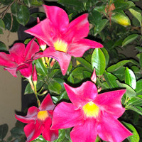 Ana Fernandez Gimenez