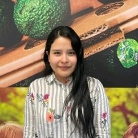 Mendocilla Salvatierra