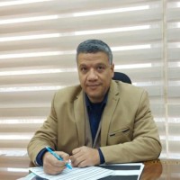 Mohamed Elshabrawi