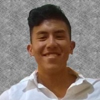 Mauricio Axel Lara Avila