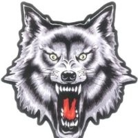 Black Wolf Promotions