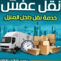 mohamed tolba