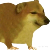 付茂东