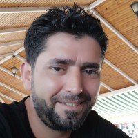 MEHMET FIRAT ŞEMDİNOĞLU