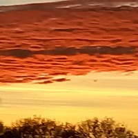 Paul ................