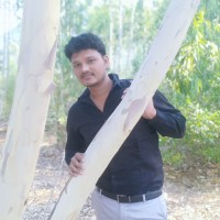 Venkat Narayana P